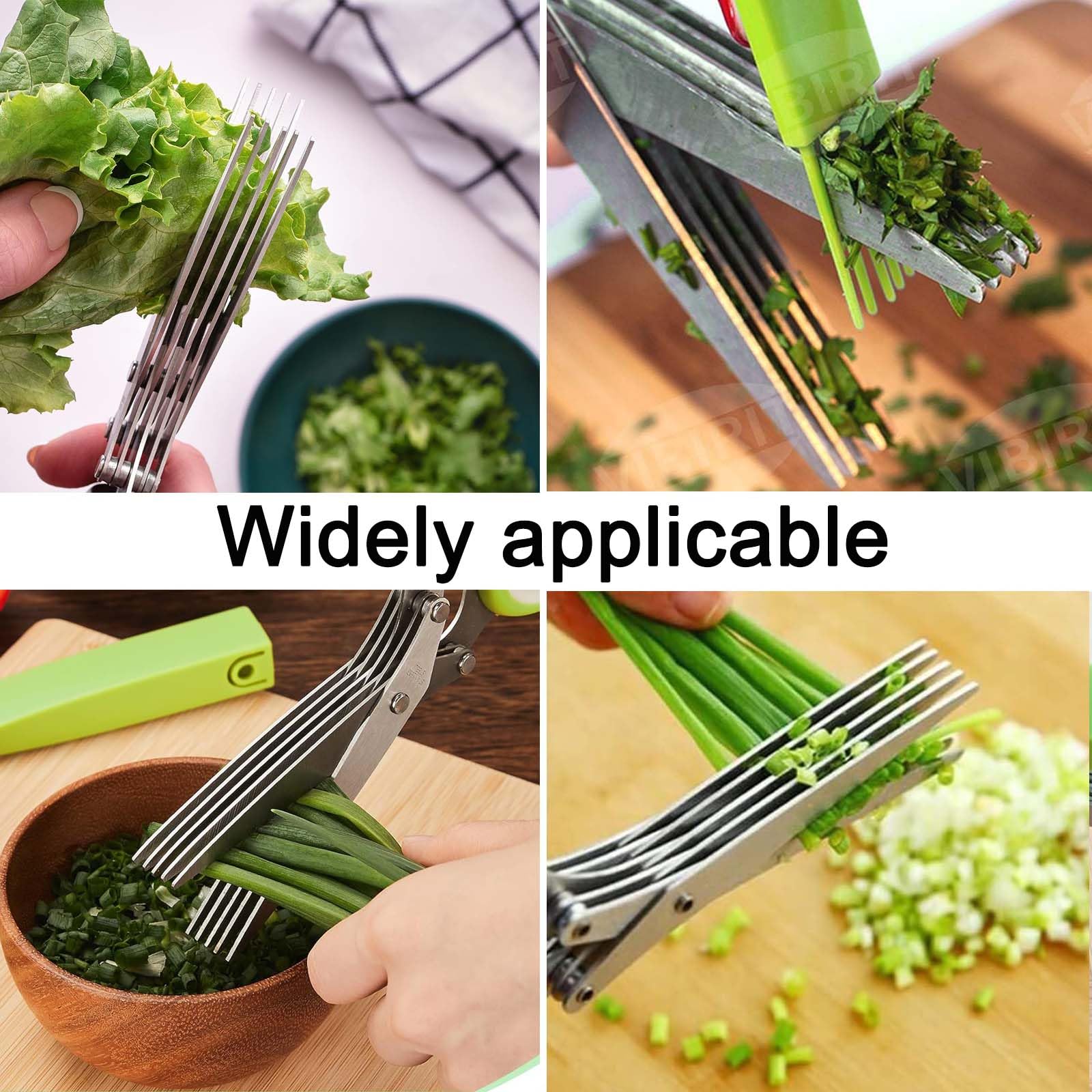 Stainless Steel Garlic Press & Herb Scissors Set